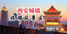 骚女网站色在线中国陕西-西安城墙旅游风景区