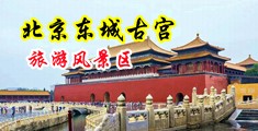 大鸡巴使劲草我视频中国北京-东城古宫旅游风景区